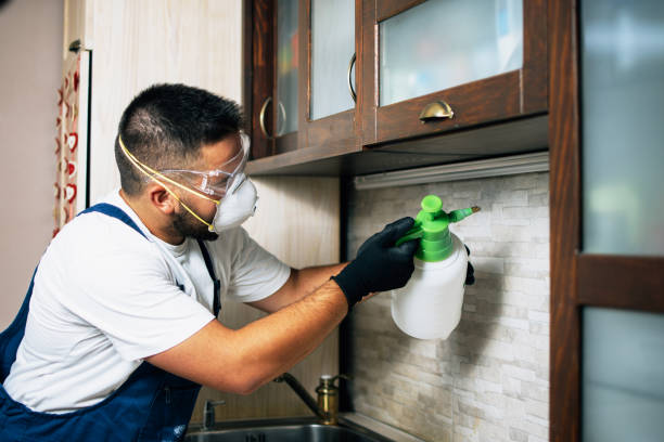 Best Flea Control Services  in Cvallis, OR