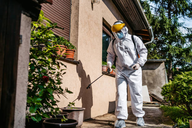 Best Rat Extermination Near Me  in Cvallis, OR