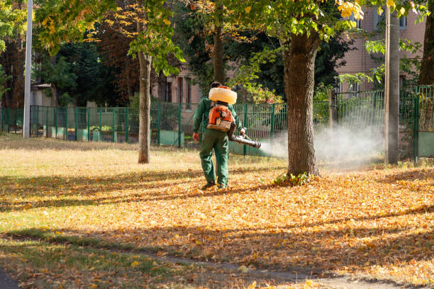 Best Best Pest Control Companies  in Cvallis, OR